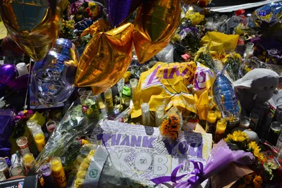 DSC_7123 (Large).JPG